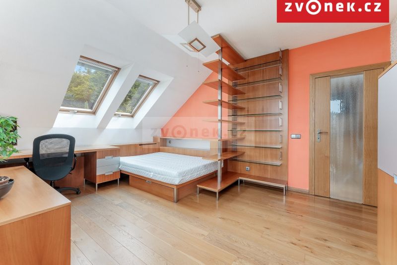 Víceúčelová vila 540 m², Hranice I-Město