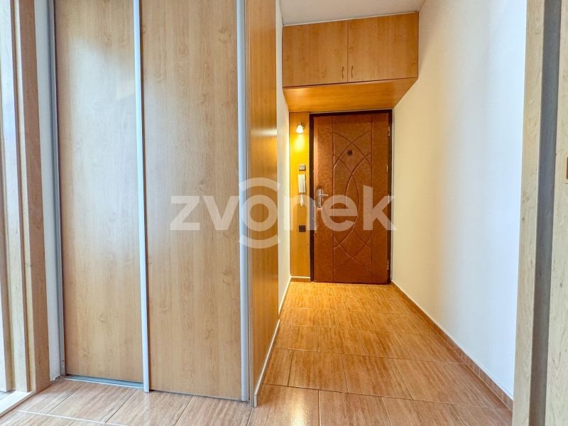 3+1 Zlín - Česká, lodžie, ihned