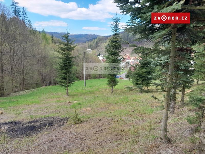 Prodej stavebního pozemku 1 579 m², Bystřička