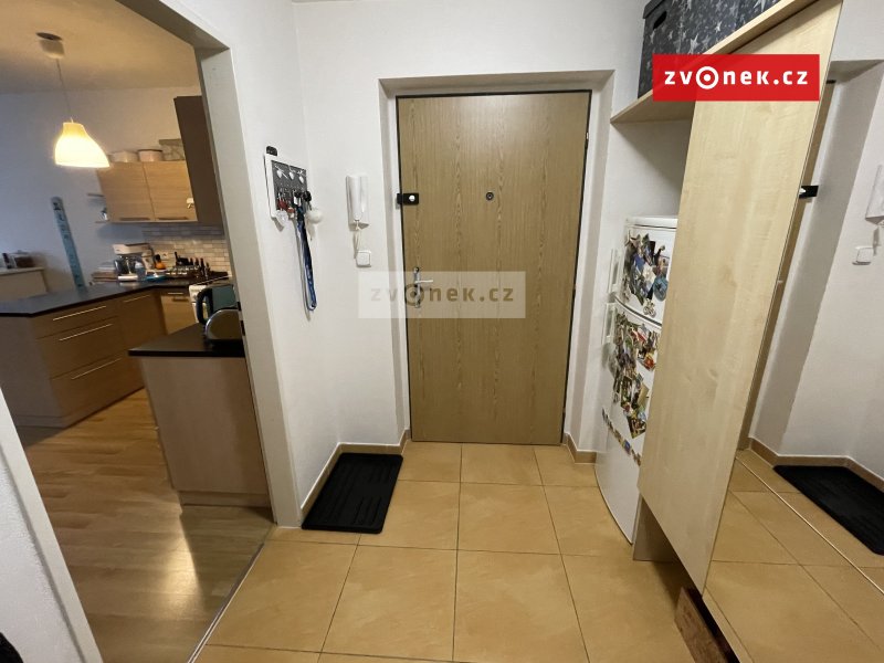 1+kk U Centrálního parku, prostorný byt (46 m2) s velkou terasou