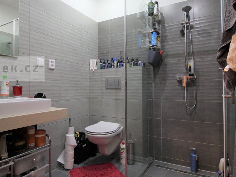 Pronájem rodinného domu, Hostišová