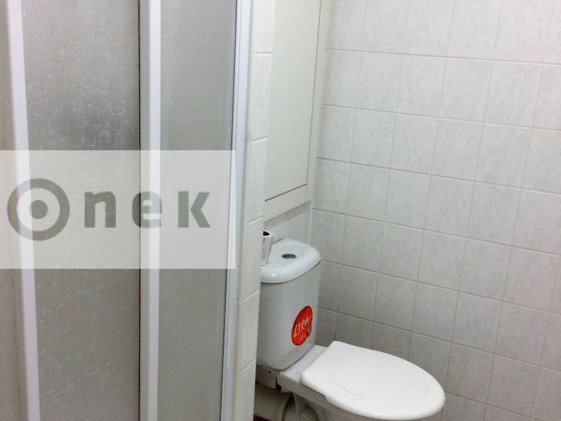 1+kk - Podlesí V, zděný prostorný byt