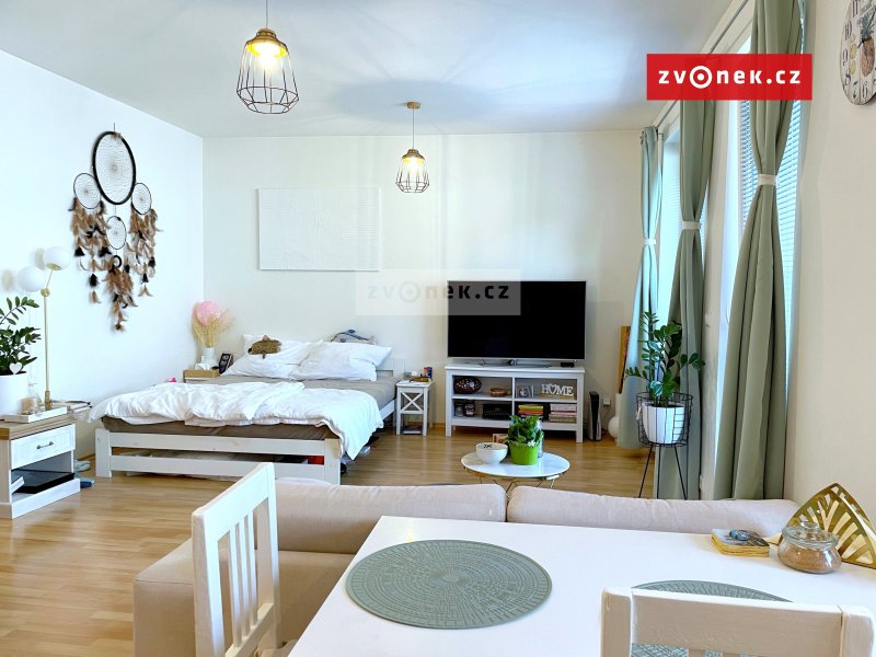 1+kk Zlín - Březnická, terasa, nevybavený, od 1.1.2026