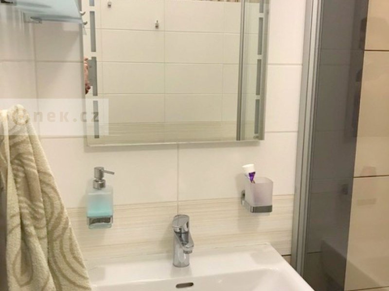 Pronájem bytu 2+1 po rekonstrukci, Benešovo nábřeží