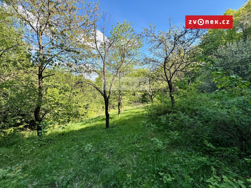 Zemědělská stavba s lesy Ludkovice - Pradlisko