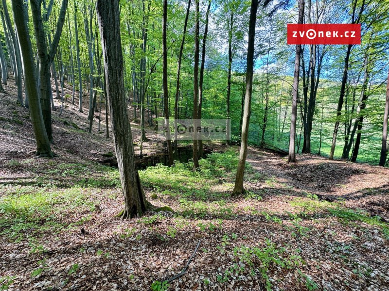 Zemědělská stavba s lesy Ludkovice - Pradlisko