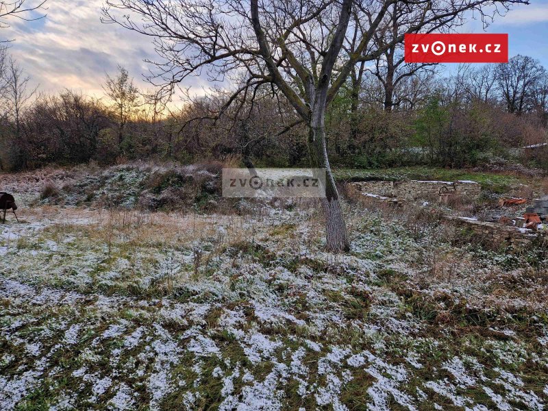 Prodej pozemku ve Velké nad Veličkou.