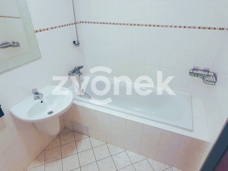 Pronájem bytu 1+kk ve Zlíně, Březnická