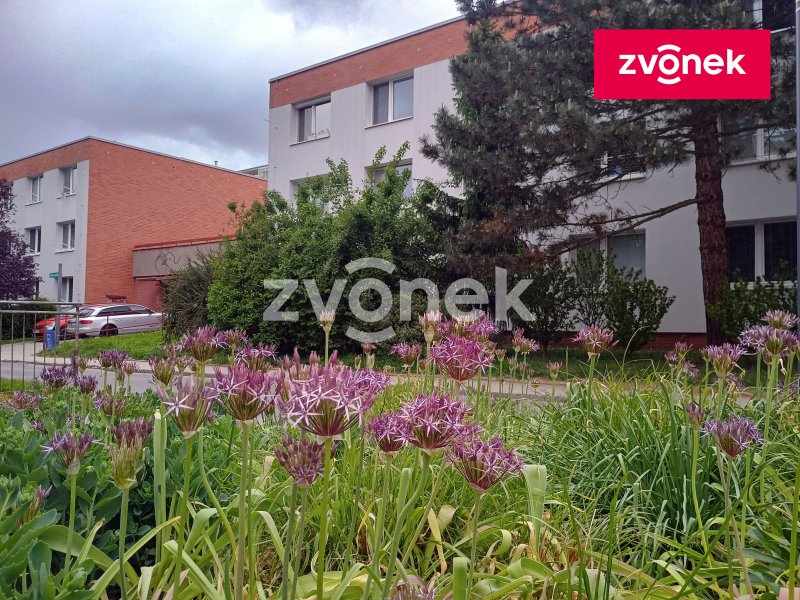 Pronájem bytu 1+kk Zlín- Dětská po rekonstrukci