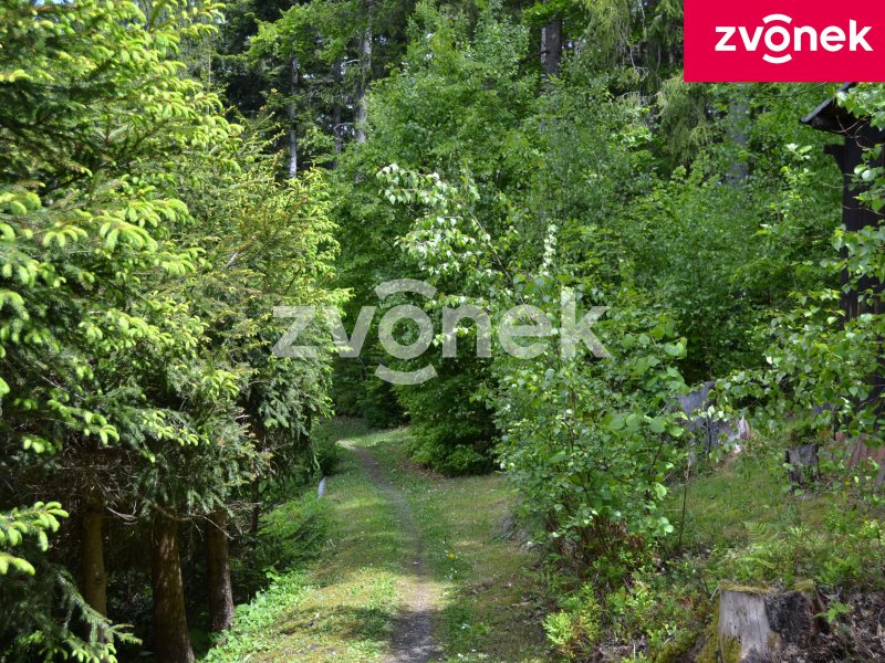 Chata Velké Karlovice