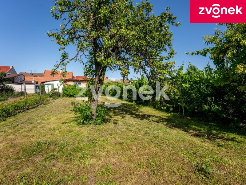 Rodinný dům Blatnice pod Svatým Antonínkem, vinný sklep, velká zahrada