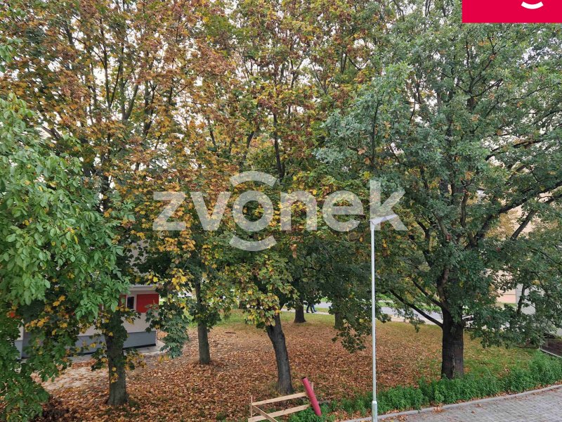 Pronájem novostavby bytu 2+kk ve Štěpnicích.