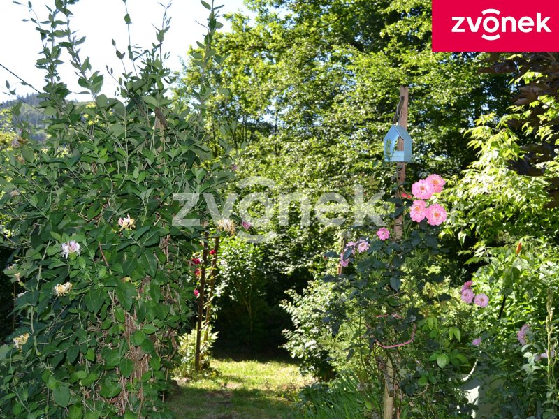 Dům s velkým pozemkem v Mikulůvce
