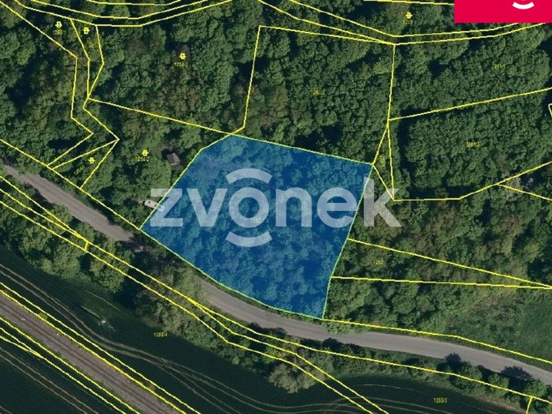 Prodej lesa v Zádveřicích, 4964m2