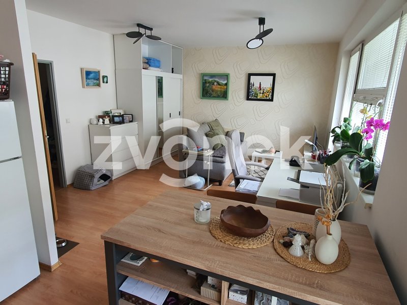 Pronájem atraktivního bytu 1+kk ve Zlíně, Březnická