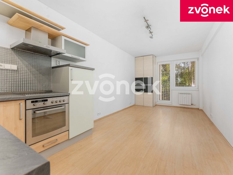Byt 1kk s lodžií a garážovým stáním