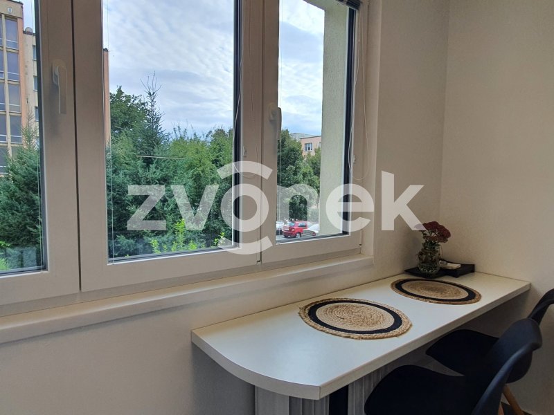 Pronájem bytu 1+1, Zlín, Malenovice