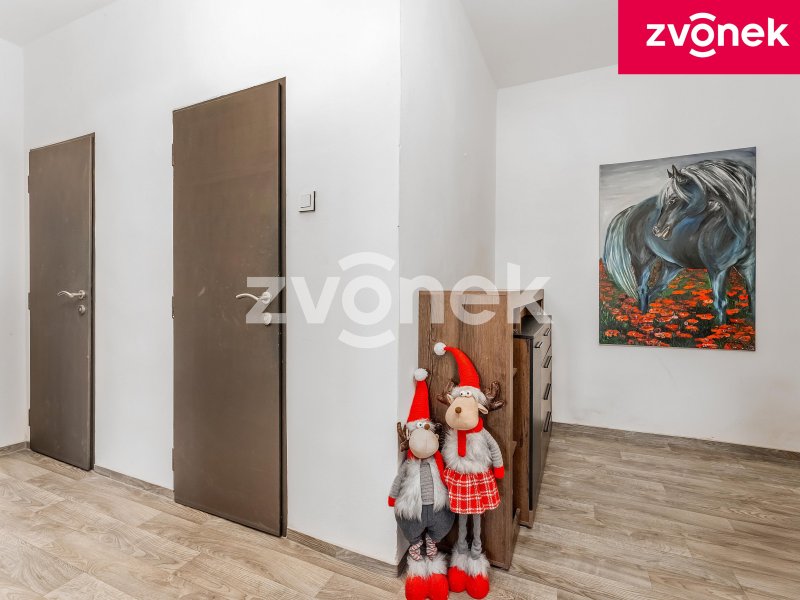 Prodej bytu 2+1, Zlín, Padělky