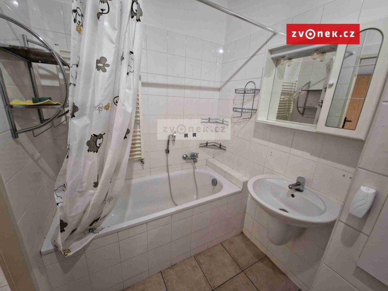 Pronájem bytu 1+kk ve Štěpnicích.
