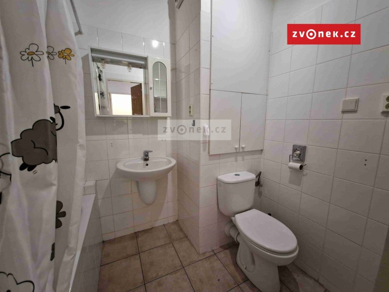 Pronájem bytu 1+kk ve Štěpnicích.