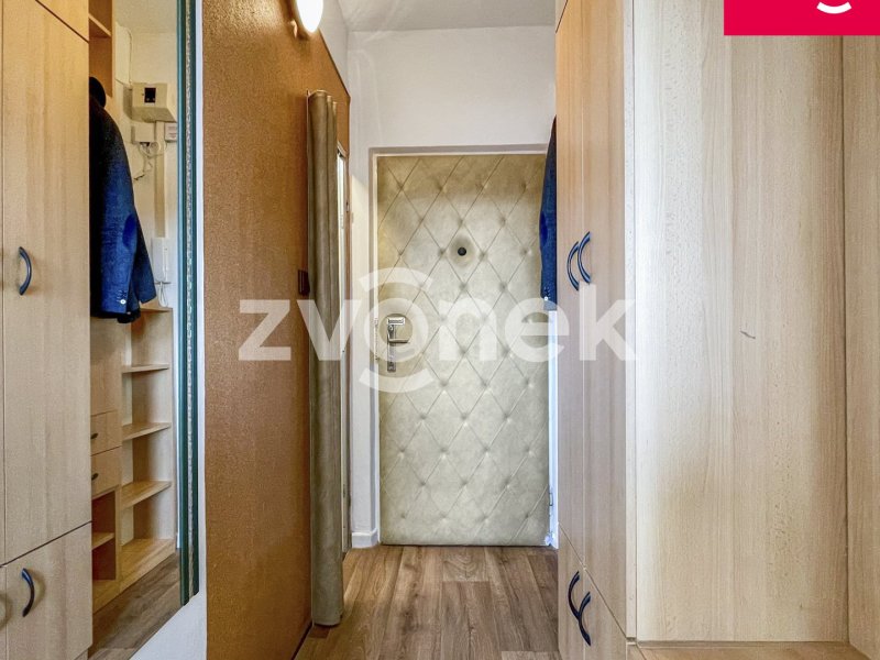 Pronájem bytu 1+1 ve Zlíně s dechberoucím výhledem – Zlín, Padělky