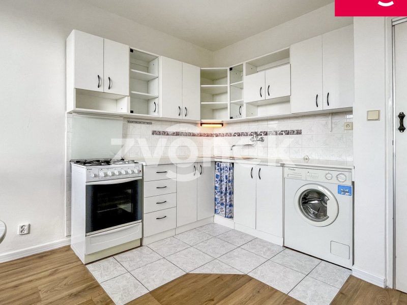 Pronájem bytu 1+1 ve Zlíně s dechberoucím výhledem – Zlín, Padělky
