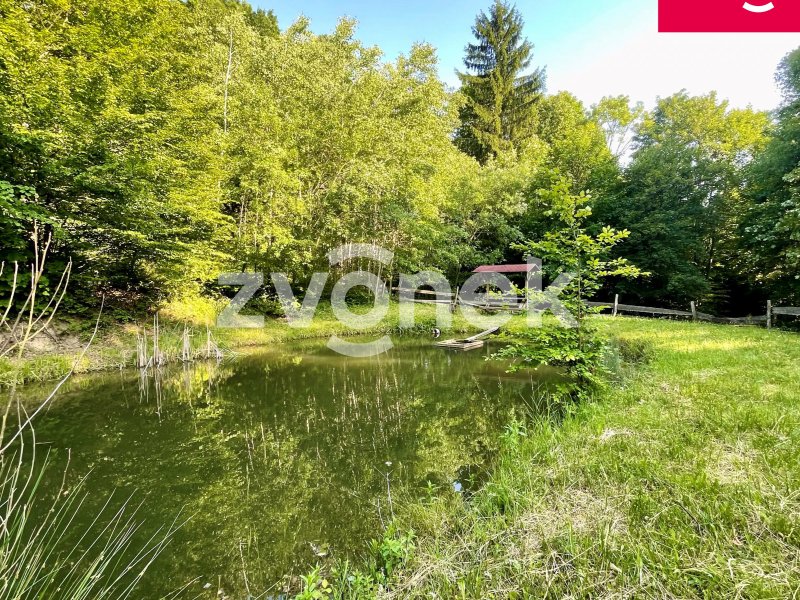 Klid, příroda a vlastní rybník – prodej souboru pozemků 7.474 m² v Prlově