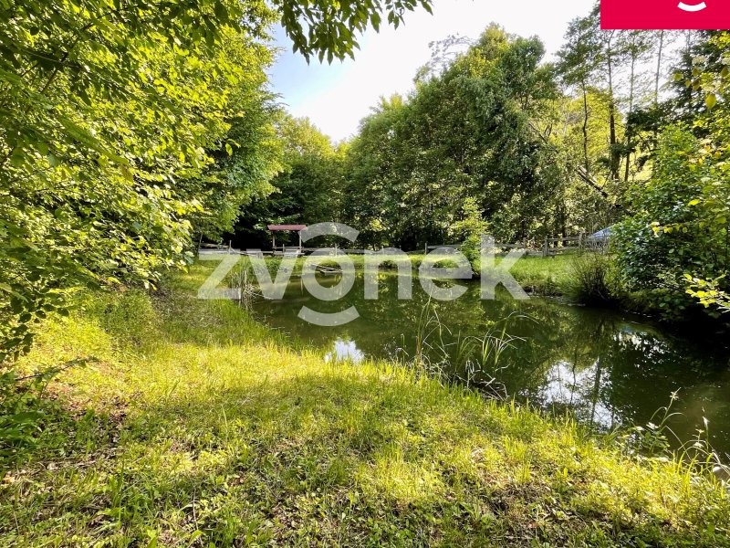 Klid, příroda a vlastní rybník – prodej souboru pozemků 7.474 m² v Prlově