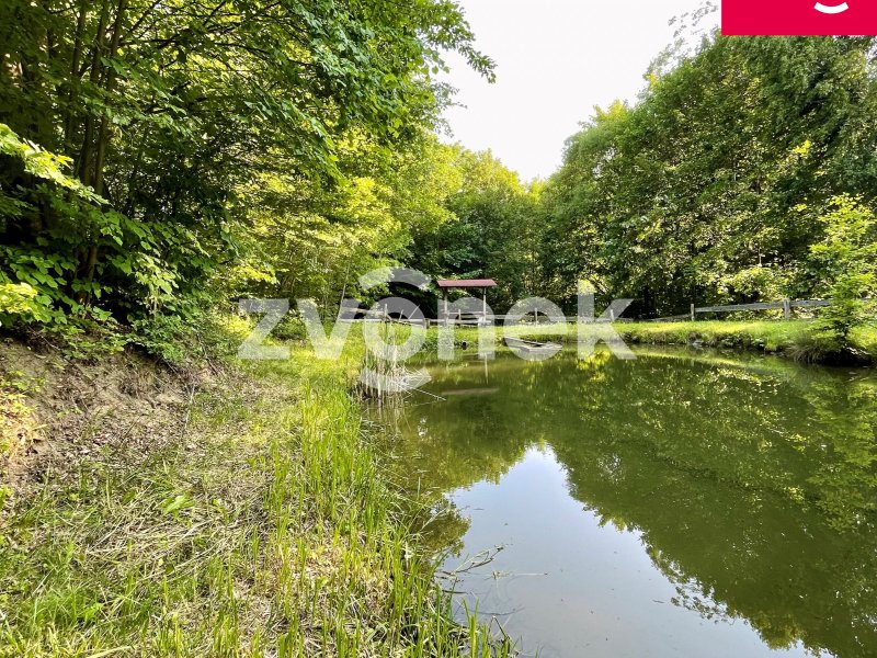 Klid, příroda a vlastní rybník – prodej souboru pozemků 7.474 m² v Prlově