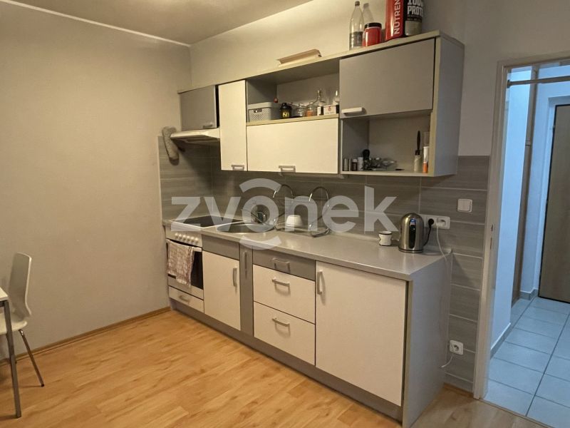 1+kk U Centrálního parku, Zlín s velkou terasou, vybavený