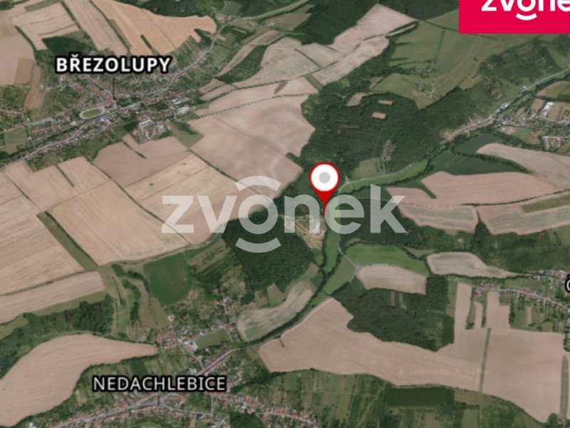 Prodej pozemku s loukou a lesem pro aktivní využití, Březolupy