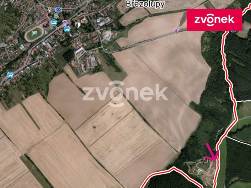Prodej pozemku s loukou a lesem pro aktivní využití, Březolupy