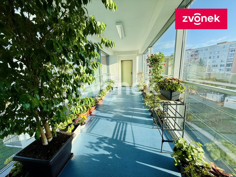 Prodej bytu 2+kk s balkonem – ulice Pod Křiby, vyhledávaná lokalita