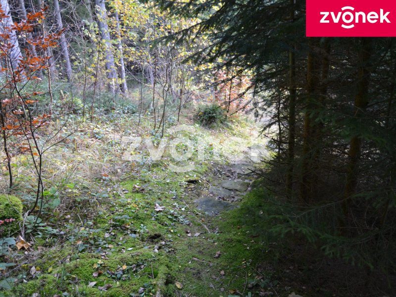 Chata Velké Karlovice