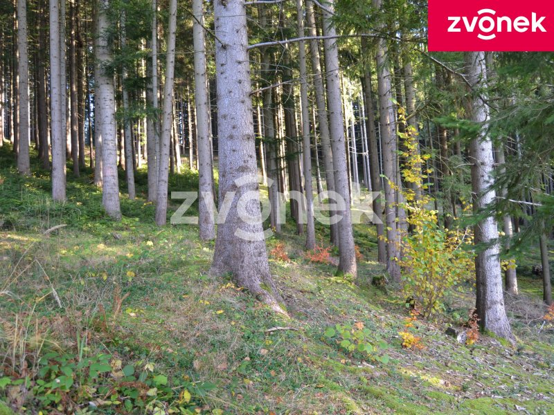 Chata Velké Karlovice