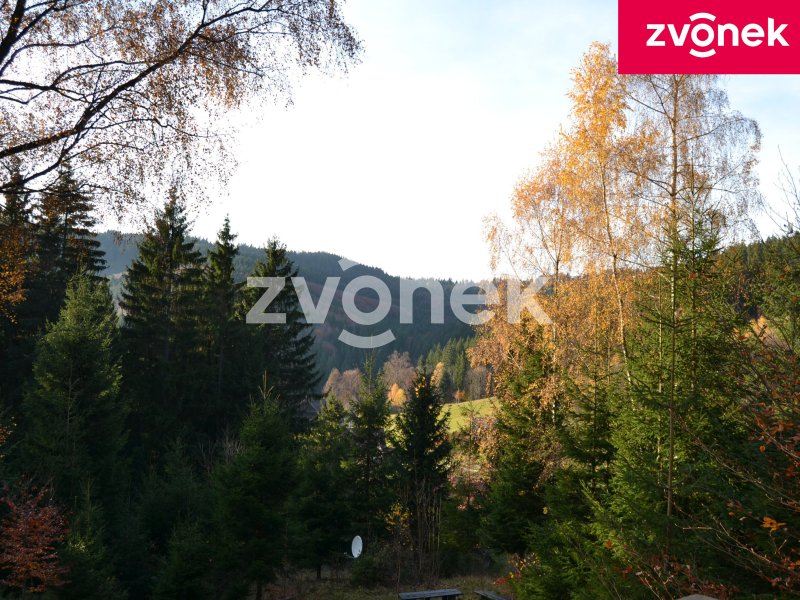 Chata Velké Karlovice