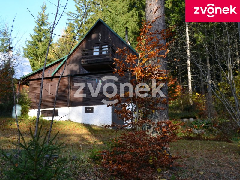 Chata Velké Karlovice