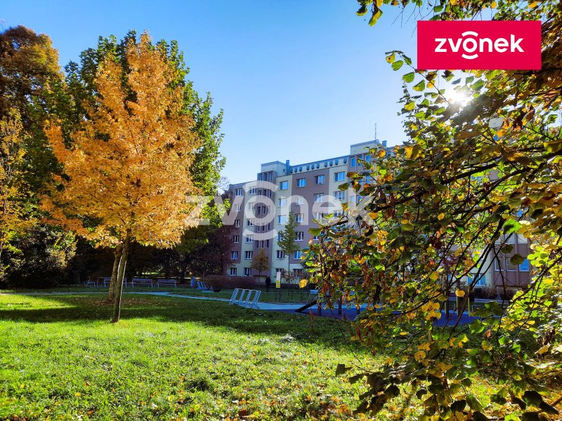 3+1 Malenovice, po kompletní rekonstrukci, od 1.12.2025