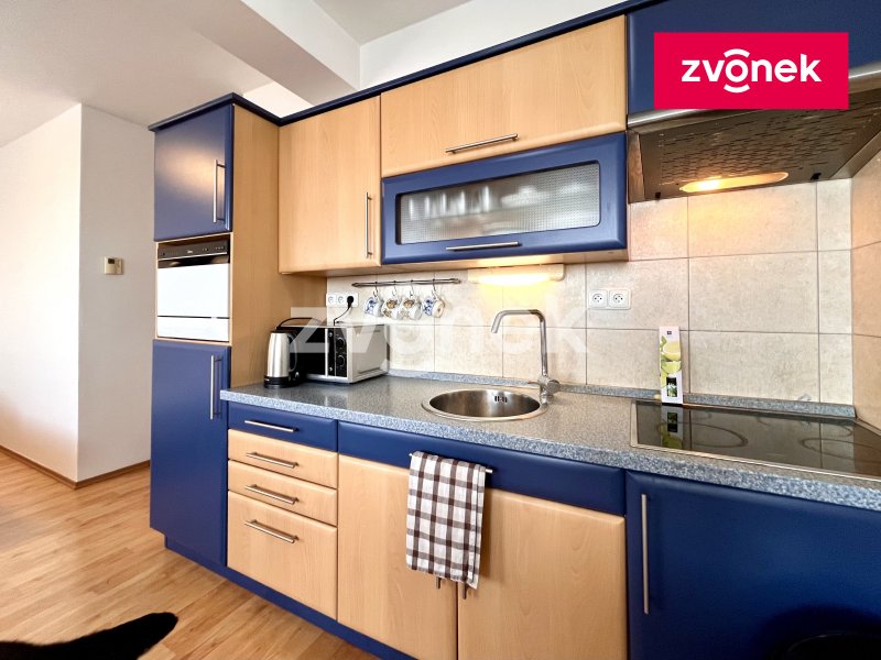 Pronájem 1+kk, Voženílkova, od 1.1.2026