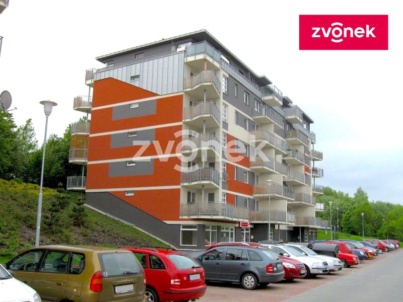 Pronájem 1+kk, Voženílkova, od 1.1.2026