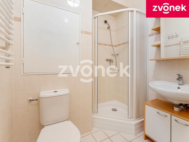 Pronájem bytu 1+1, Podlesí V, Zlín