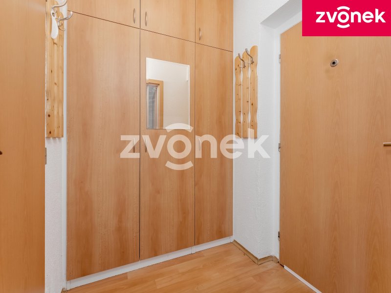 Pronájem bytu 1+1, Podlesí V, Zlín