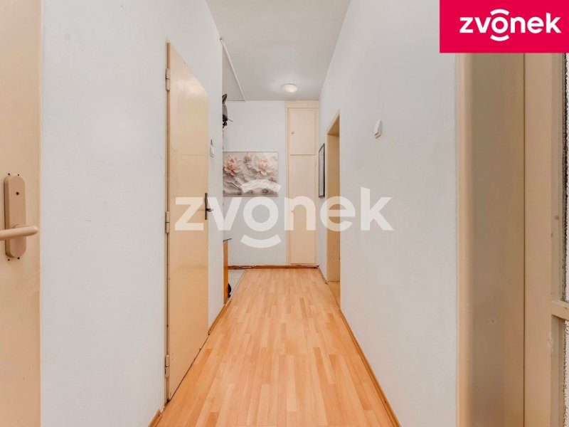 Pronájem bytu 2+1 Zlín, Padělky