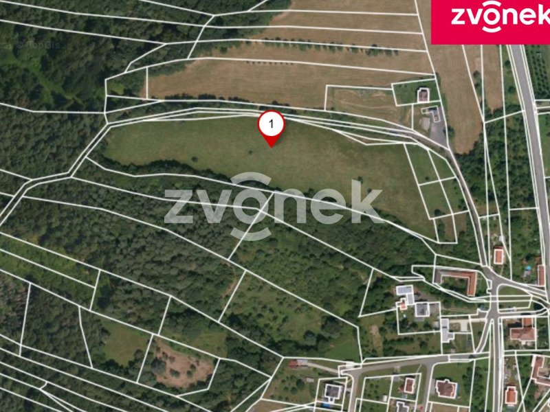 Investiční pozemek 17 509 m² – Ludkovice, možnost změny územního plánu