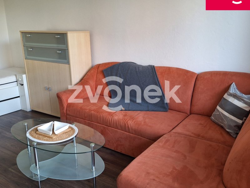 Pronájem bytu 1+1 Otrokovice