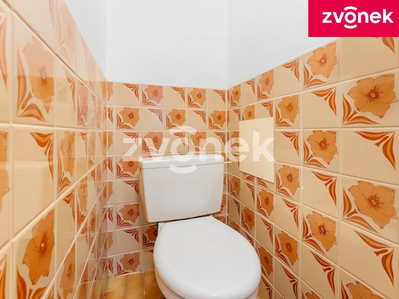 Víc než jen byt: 3+1 s výhledem na rybník, vlastní garáží, zahrádkou v Lukově