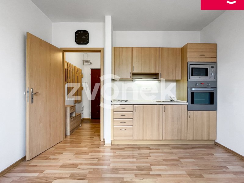 Pronájem pěkného a útulného bytu 1+1, Zlín- Padělky