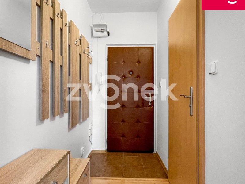 Pronájem pěkného a útulného bytu 1+1, Zlín- Padělky