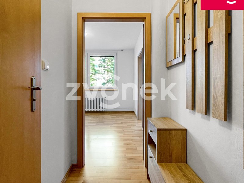 Pronájem pěkného a útulného bytu 1+1, Zlín- Padělky