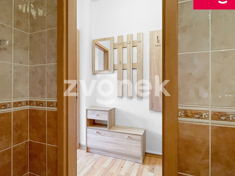 Pronájem pěkného a útulného bytu 1+1, Zlín- Padělky